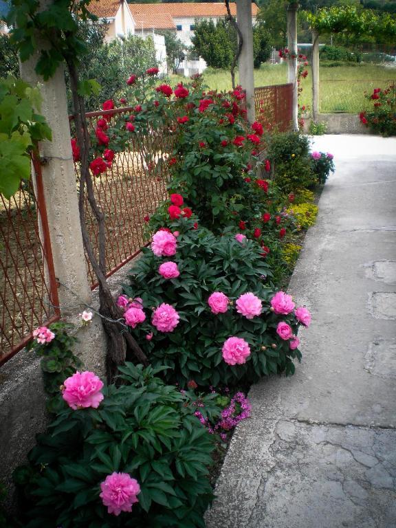 Francesca Guesthouse Mlini Dış mekan fotoğraf